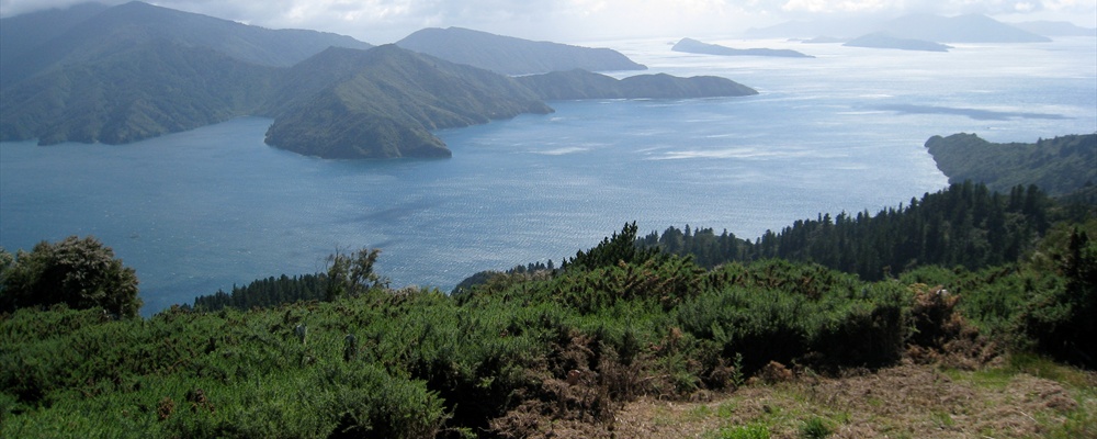 Queen Charlotte Sound
